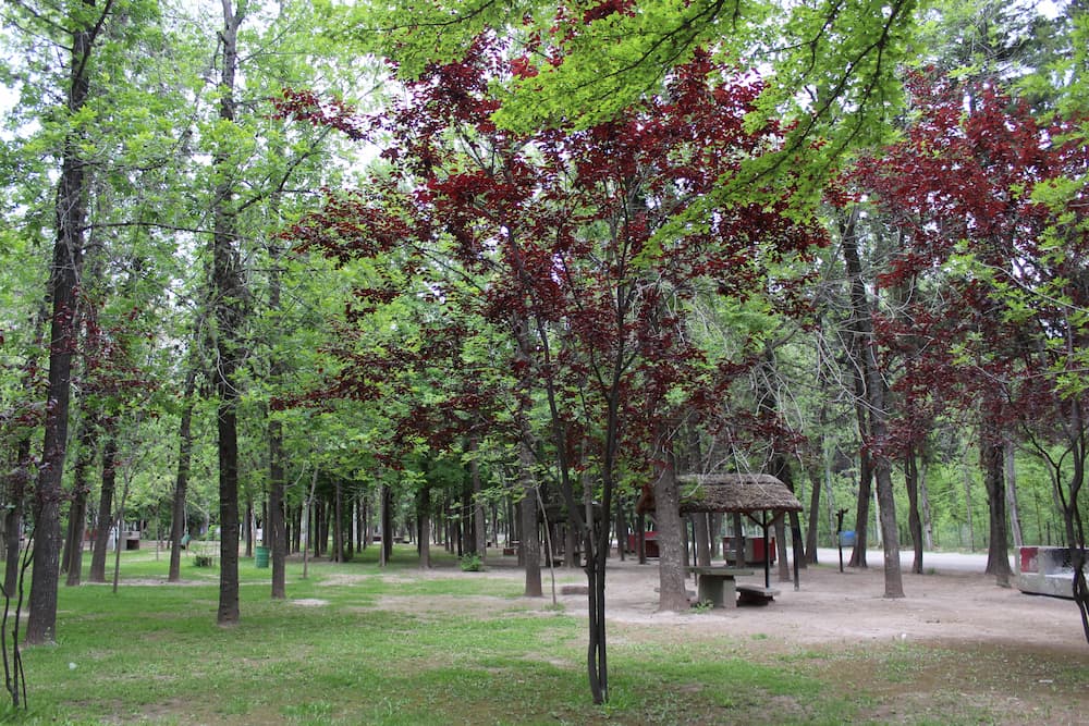 Camping Cipolletti